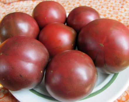 Charakteristiky a opis najchutnejších odrôd čiernych paradajok