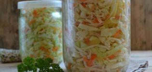 TOP 12 recipes with step-by-step cooking of early cabbage in jars for the winter