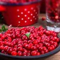 When can you collect lingonberries and how, how to make devices with your own hands