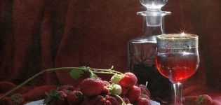 6 paprasti naminio braškių vyno receptai