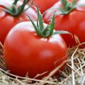 הזנים הטובים ביותר של עגבניות גבוהות לתכונות אדמה וטיפוח