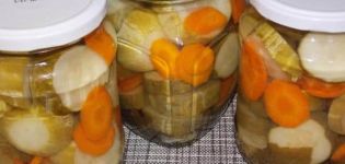A simple recipe for cooking cucumbers with carrots and onions for the winter