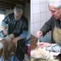 Simple and step-by-step instructions for dressing rabbit skins at home
