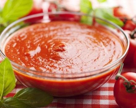 TOP 8 recipes for making tomato sauce with apples for the winter
