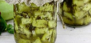 Step-by-step recipe for cooking zucchini in oil for the winter