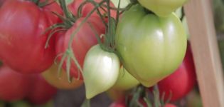 Características y descripción de la variedad de tomate Raspberry Empire, su rendimiento.