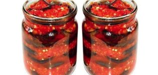 10 mejores recetas paso a paso de berenjenas y tomates para el invierno