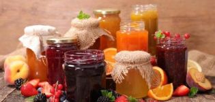 7 Rezepte für köstliche Marmelade mit roten Johannisbeeren und Orangen für den Winter