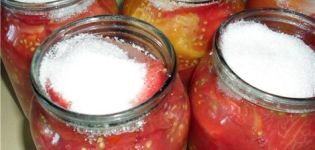 Reseptejä kuorittujen tomaattien nopeaksi suolaamiseksi talveksi