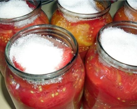 Ricette per la salatura rapida dei pomodori pelati per l'inverno