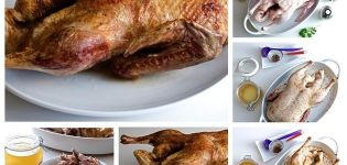 Kā marinēt pīli un top 9 garšīgas receptes