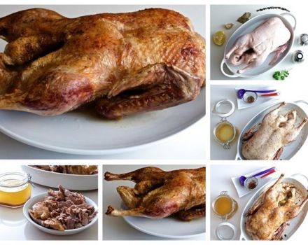 Hogyan pácolni a kacsa és a top 9 ízletes receptek