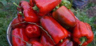 Karakteristike i opis kalifornijske sorte čudo paprike i njen prinos