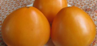 Eigenschaften und Beschreibung der Tomatensorte Golden Domes, deren Ertrag