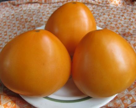 Charakterystyka i opis odmiany pomidora Golden Domes, jej plon