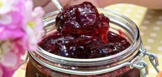 A simple recipe for plum and apple jam for the winter
