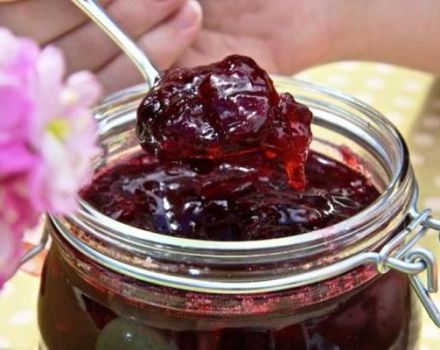 A simple recipe for plum and apple jam for the winter