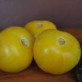 Descrizione della varietà di pomodoro Palla gialla, caratteristiche di coltivazione e cura