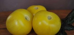 Description de la variété de tomate Boule jaune, caractéristiques de culture et d'entretien