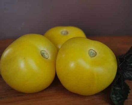 Descripción de la variedad de tomate Bola amarilla, características de cultivo y cuidado.