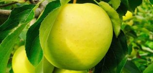 Vantaggi e svantaggi dei meli della varietà Pineapple, recensioni di giardinieri, caratteristiche e descrizione dei frutti