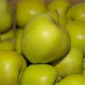 Descripció i varietats de pomes Golden, regles de cultiu i cura