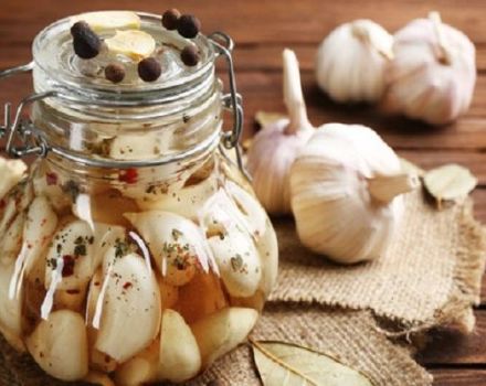 Deliziose ricette per preparare l'aglio per l'inverno e le regole di conservazione