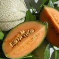 Waarom kunnen meloenen oranje vruchtvlees hebben van binnen, wat voor soort zijn dat?