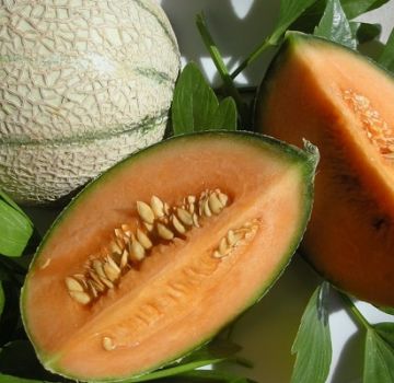 ¿Por qué los melones pueden tener pulpa anaranjada en su interior, qué tipo de variedades son?