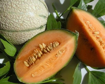 Why can melons have orange flesh inside, what kind of varieties are they?