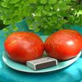 Opis odmiany pomidora Fajerwerki, cechy charakterystyczne i cechy uprawy