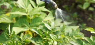 Hướng dẫn sử dụng thuốc Klotiamet trị bọ khoai tây Colorado