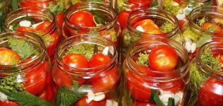 TOP 3 recepten voor het koken van pittige tomaten voor de winter