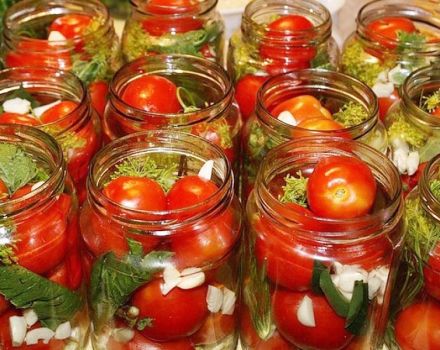 3 suosituinta reseptiä mausteisten tomaattien keittämiseen talveksi