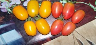 Kenmerken en beschrijving van het tomatenras Honey Candy