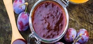 Συνταγές μαρμελάδας Blackthorn για το χειμώνα με και χωρίς σπόρους