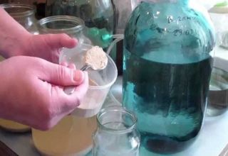 Instructions on how to clarify wine with bentonite at home