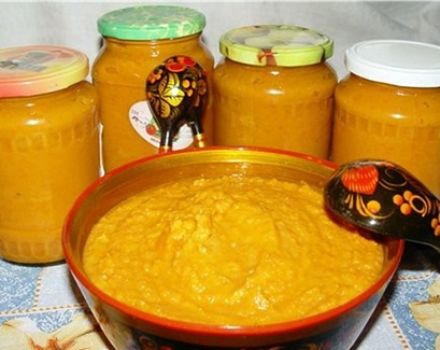 Recipes for squash caviar with mayonnaise for the winter as in a store you will lick your fingers