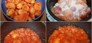 TOP 7 Rezepte für den Winter Aprikosenmarmelade in einem Slow Cooker
