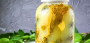 A step-by-step recipe for pickled cucumbers with mustard for the winter in jars
