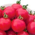 Egenskaber og beskrivelse af Pink Impression-tomatsorten, dens produktivitet