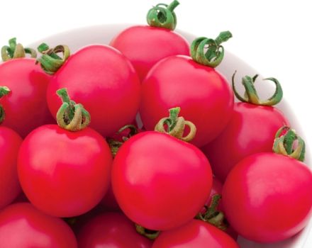 Kenmerken en beschrijving van de tomatenvariëteit Pink Impression, de productiviteit