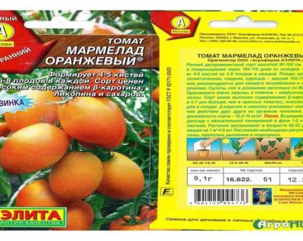 Tomaattilajikkeiden kuvaus ja ominaisuudet Oranssi marmeladi