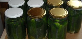 Eenvoudige recepten voor komkommers met kaneel voor de winter zonder sterilisatie in potten