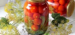 أفضل 9 وصفات لتخليل الطماطم بالثوم لفصل الشتاء في الجرار