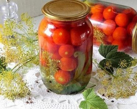 9 parasta reseptiä valkosipulin tomaattien peittaamiseksi talveksi purkeissa