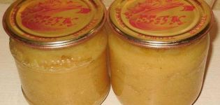 6 best recipes for making apple sauce for the winter