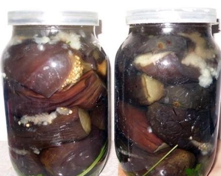 3 populiariausių žiemai marinuotų baklažanų receptai