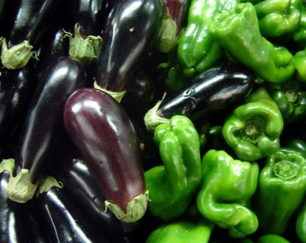 Is it possible to plant eggplants and peppers in the same greenhouse or open field