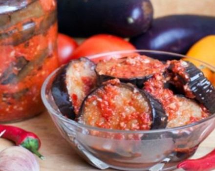 11 best step-by-step recipes for making eggplant Spark for the winter